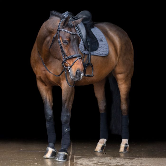 Saddlepad ESLiona DR - 7119 - Magnet Grey