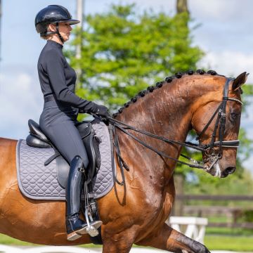 Saddlepad ES-Cato dressage -  Magnet Grey