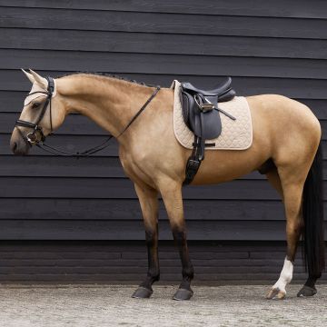 Saddlepad ES-Coco dressage -  Beige