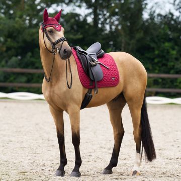 Flyveil ES-Cato -  Amarena